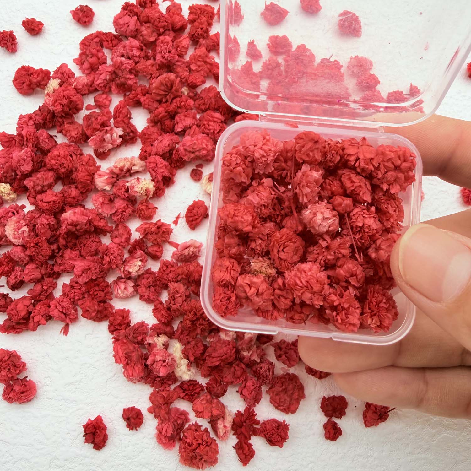 1 Box Bunte Blütenköpfe Handge – Box Art And Craft Bewertung und Preis