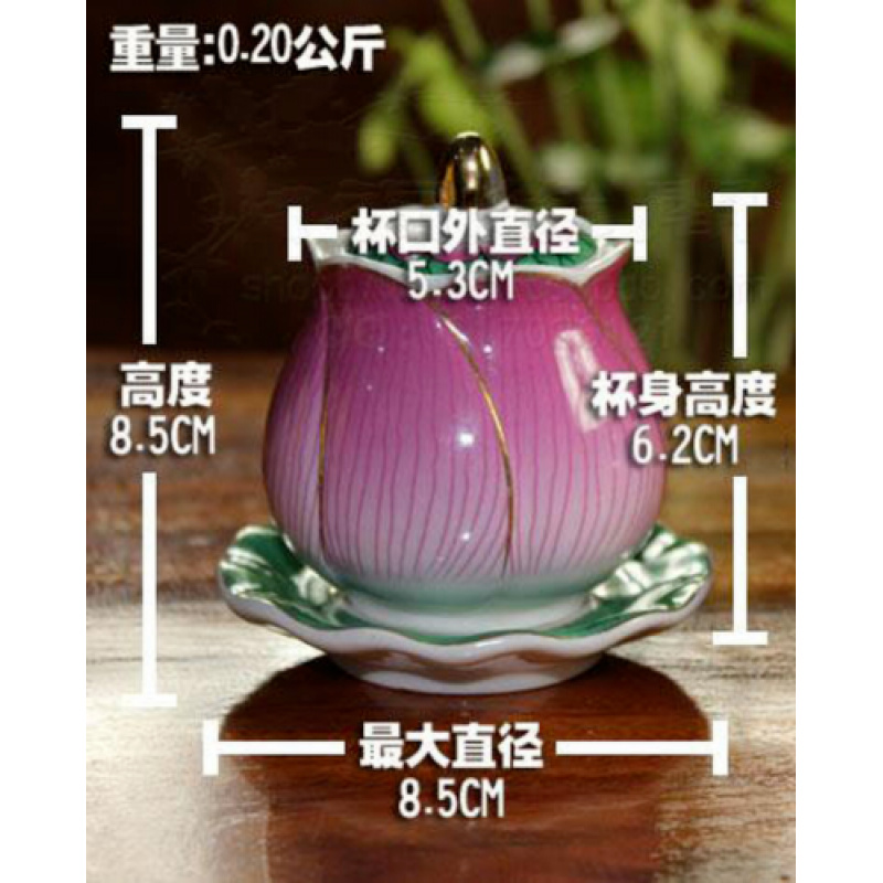Kreative Handwerk Lotus Heilwa – Art Craft Cup Bewertung und Preis